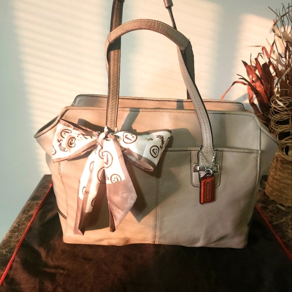 Coach Tan and Brown Tote Bag - Picture 1 of 15